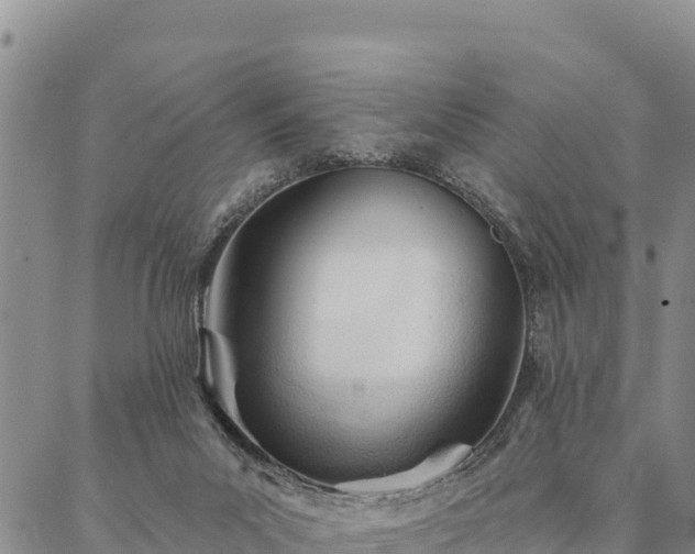 X0000086900023200704231204