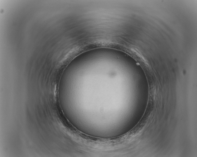 X0000086900024200704231204