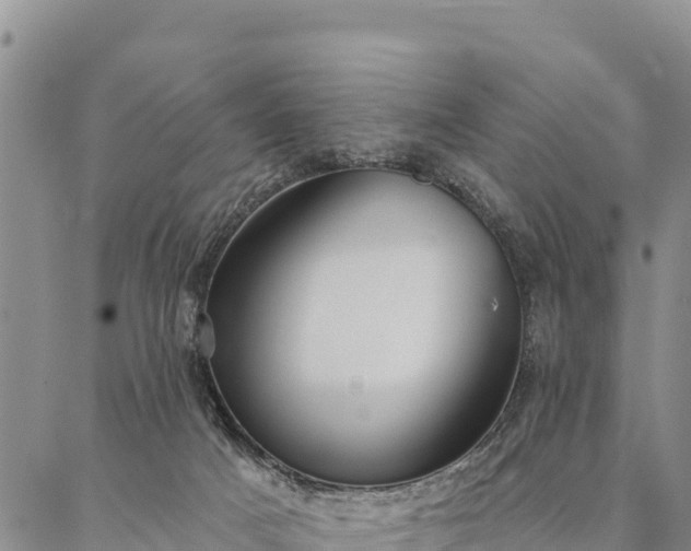 X0000086900025200704231204