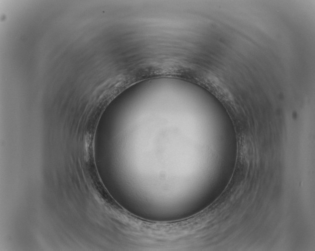 X0000086900026200704231204