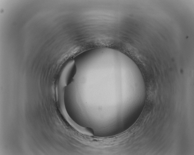 X0000086900027200704231204