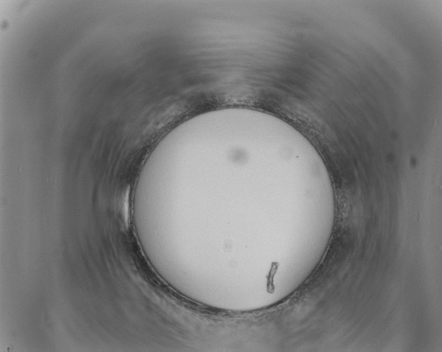 X0000086900028200704231204