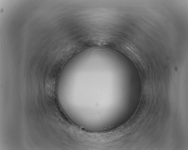 X0000086900030200704231204