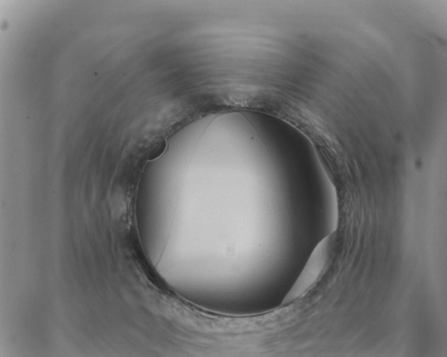 X0000086900031200704231204