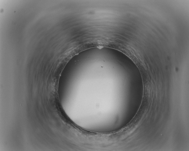 X0000086900032200704231204