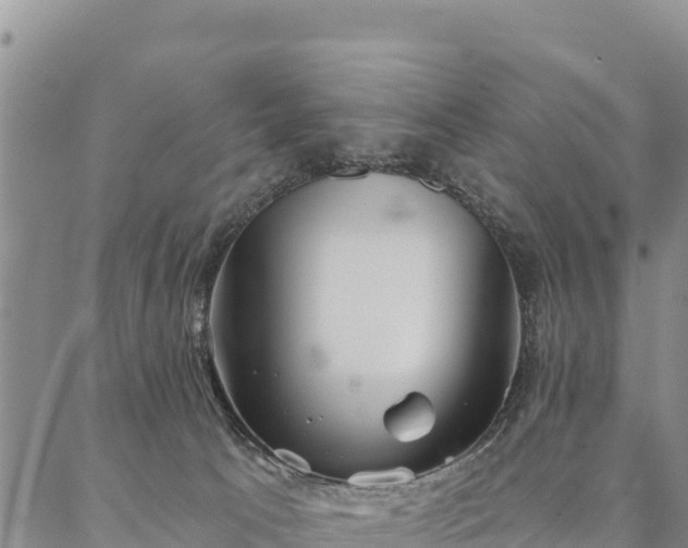 X0000086900033200704231204