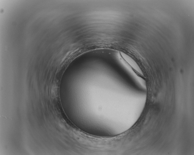 X0000086900035200704231204