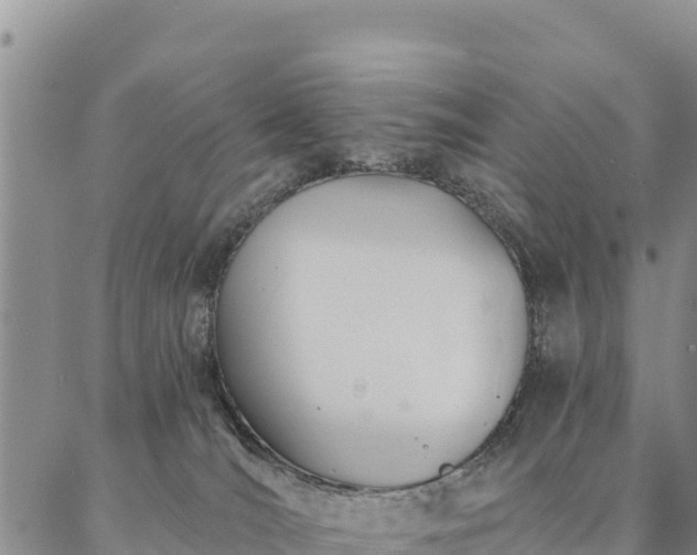 X0000086900036200704231204