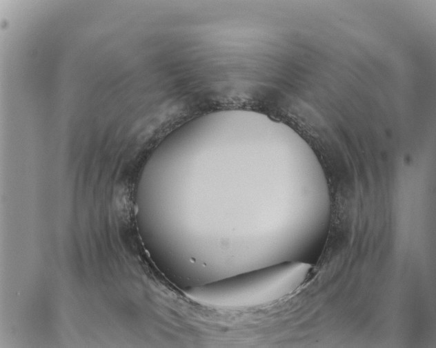 X0000086900037200704231204