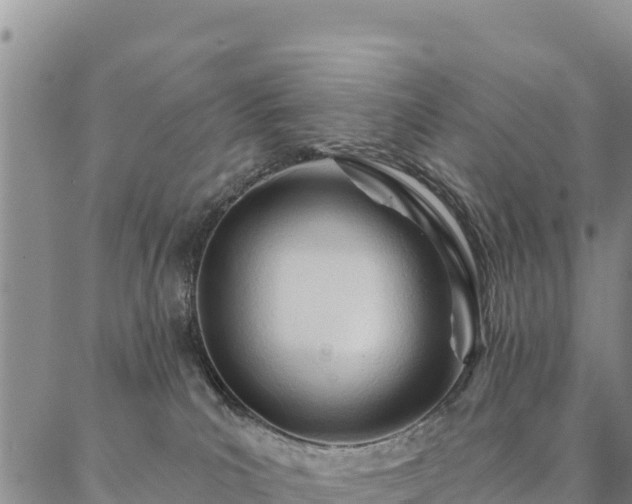 X0000086900039200704231204