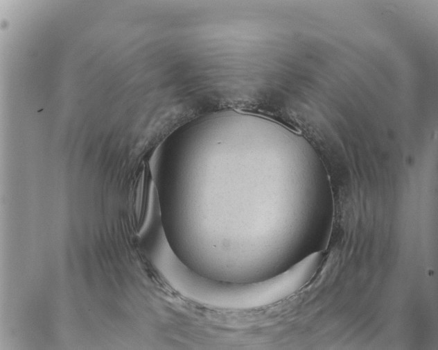 X0000086900041200704231204