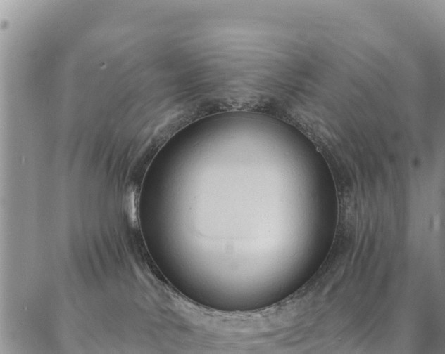 X0000086900042200704231204