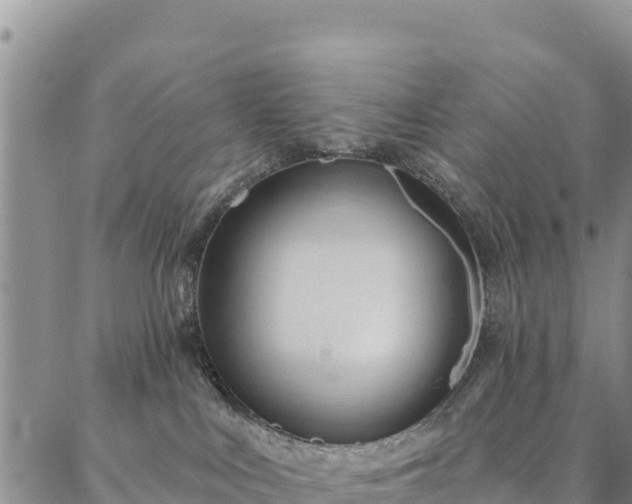 X0000086900043200704231204