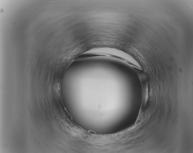 X0000086900045200704231204