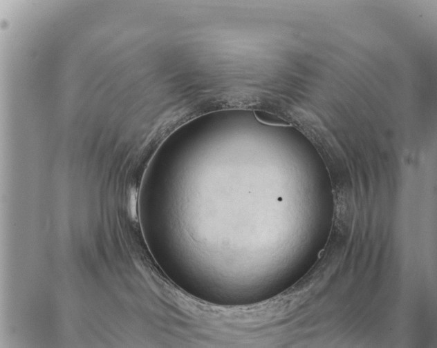 X0000086900046200704231204