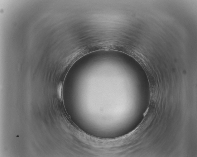 X0000086900047200704231204