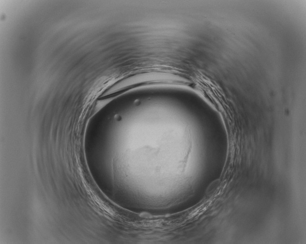 X0000086900049200704231203