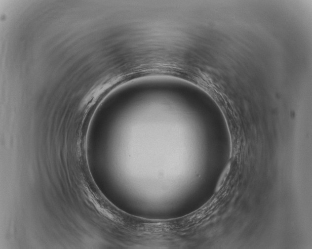 X0000086900050200704231203