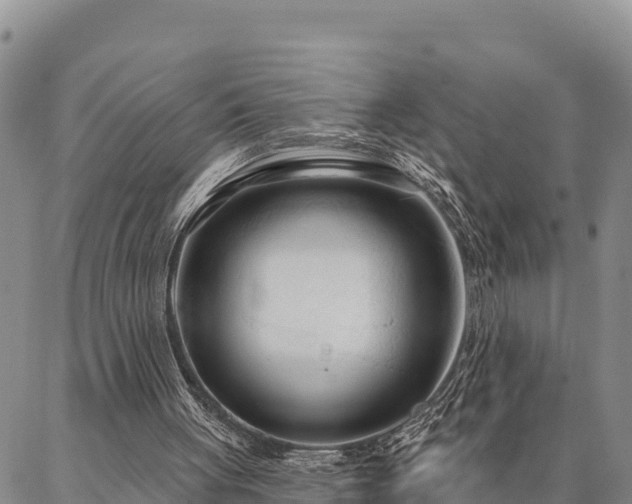 X0000086900051200704231203