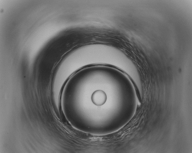 X0000086900052200704231203