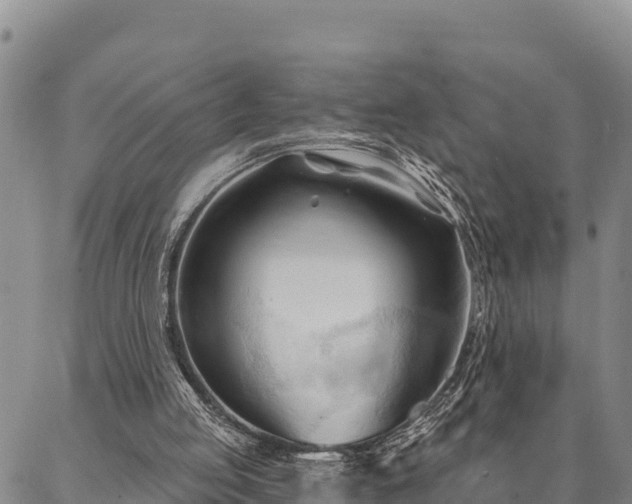 X0000086900053200704231203