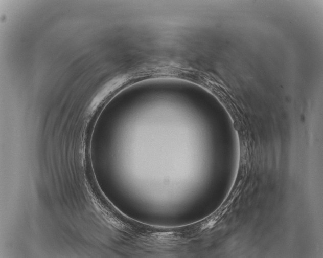 X0000086900054200704231203