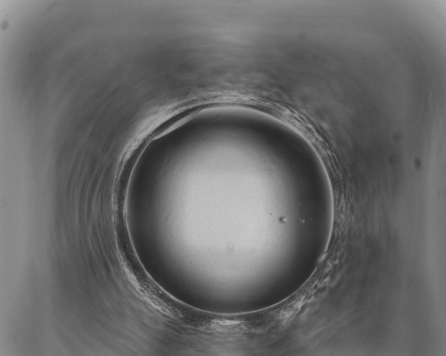 X0000086900055200704231203