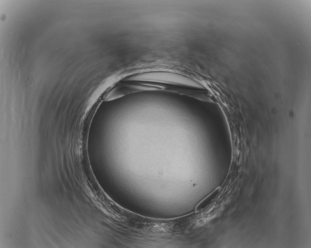 X0000086900056200704231203