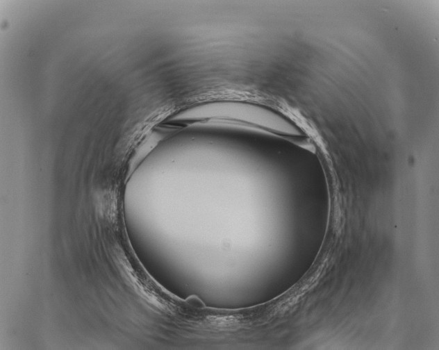 X0000086900057200704231203