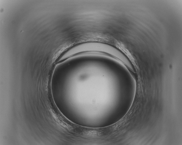 X0000086900058200704231203