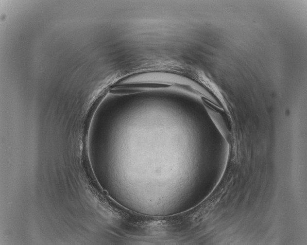 X0000086900059200704231203