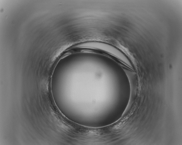 X0000086900060200704231203