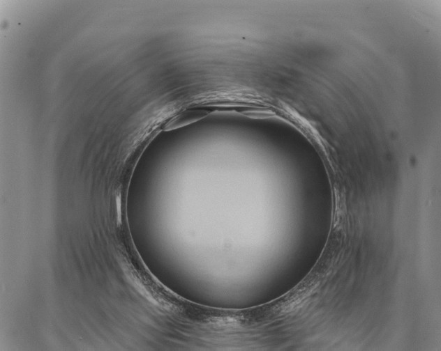 X0000086900061200704231203