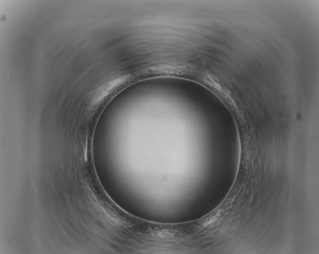 X0000086900062200704231203