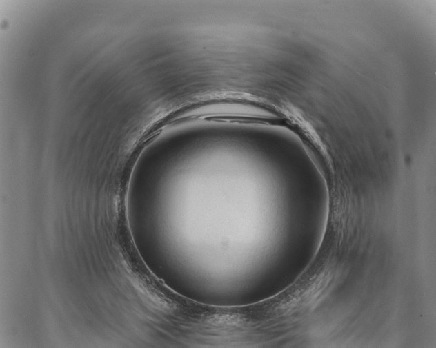 X0000086900063200704231203