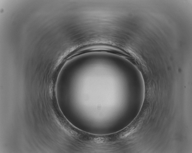 X0000086900064200704231203