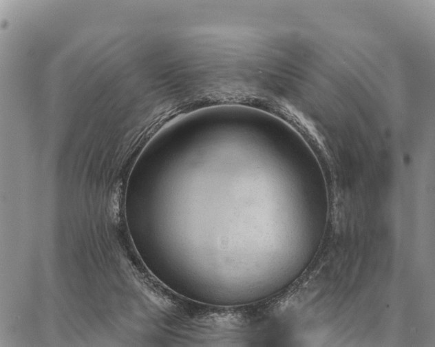 X0000086900065200704231203