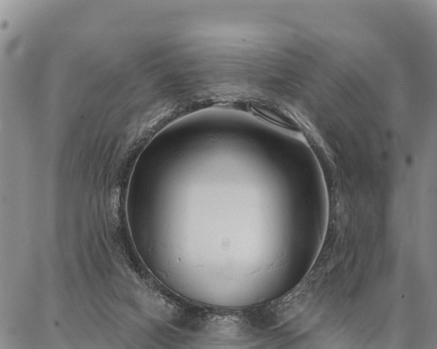 X0000086900066200704231203