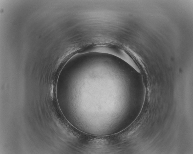 X0000086900067200704231204