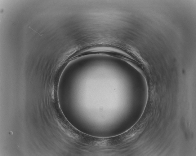 X0000086900068200704231204