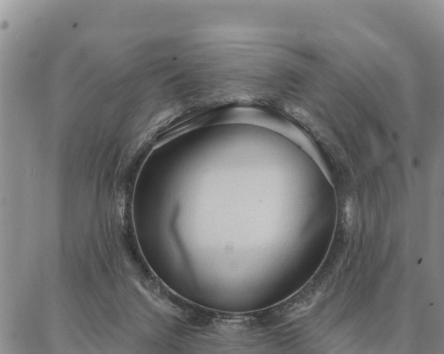 X0000086900072200704231204