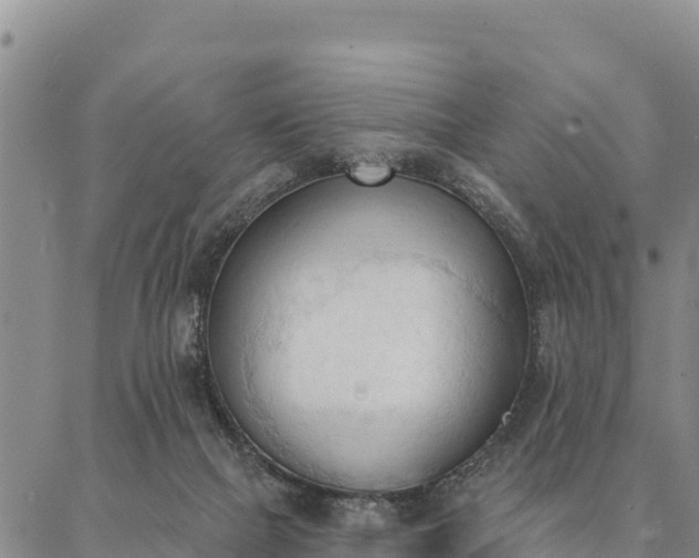 X0000086900073200704231204