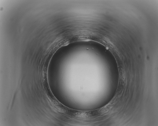 X0000086900074200704231204