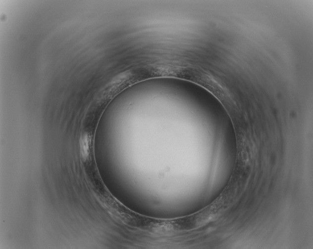 X0000086900075200704231204