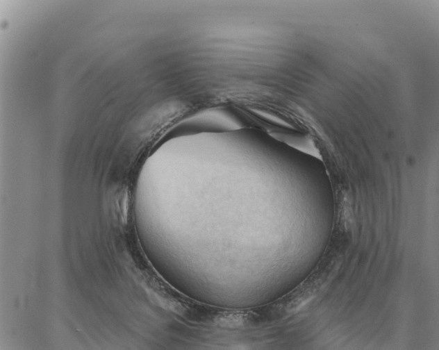 X0000086900076200704231204