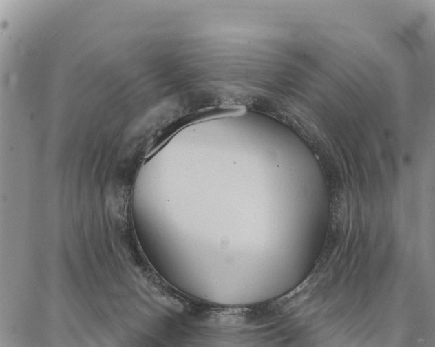 X0000086900078200704231204