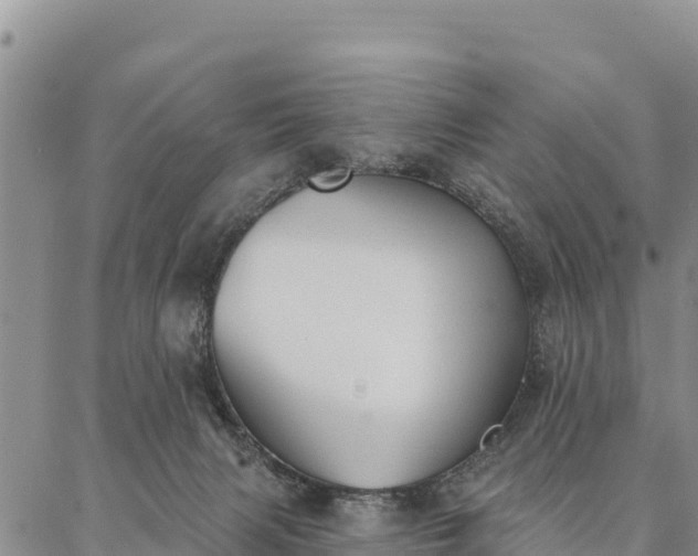 X0000086900079200704231204