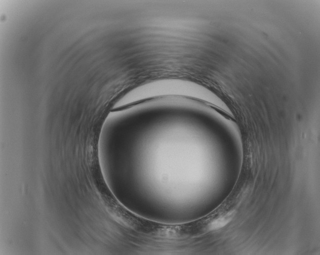 X0000086900080200704231204