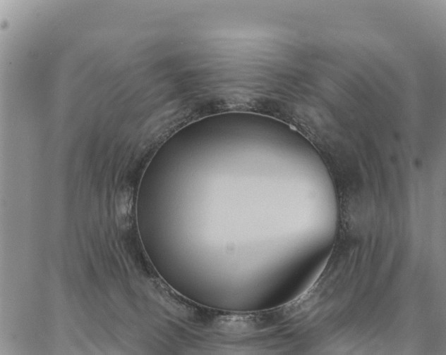 X0000086900082200704231204