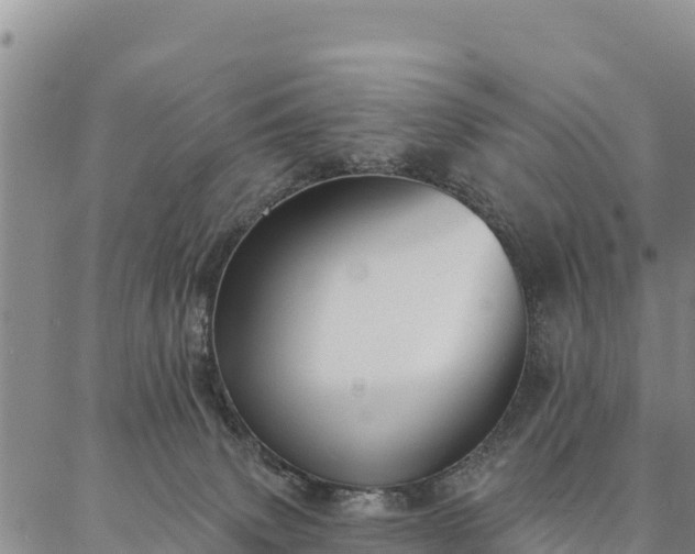 X0000086900083200704231204